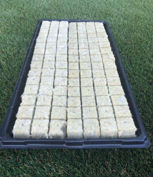 Rockwool Cubes for Hydroponics: Manufacturer - Direct Cubes for Hydroponics, High - Quality, Ingeniously Designed, Abundant Supply at Budget - friendly Rates